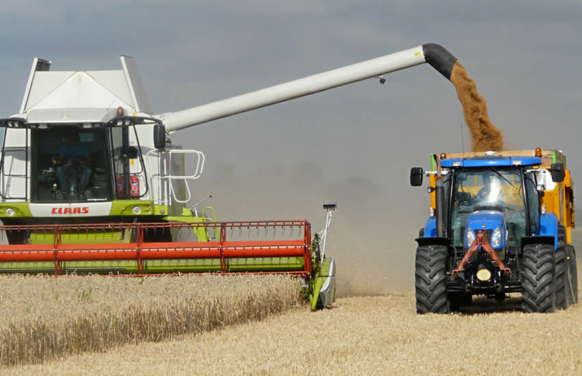 Agribusiness