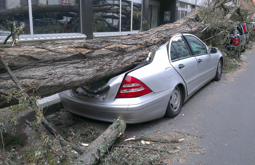 Insurance